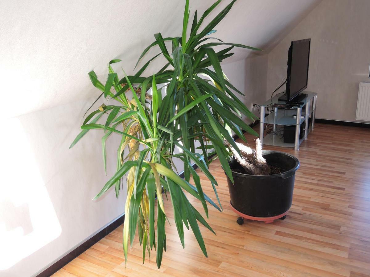 Guesthouse "Southside Of Hamburg" Екстер'єр фото
